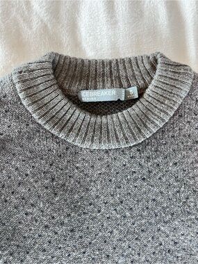 Icebreaker Crewneck Sweater